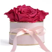 ROSEMARIE SCHULZ Heidelberg Rosenbox rund Infinity Rosen Pink -