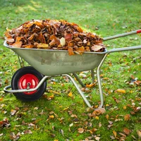 Relaxdays Schubkarrenrad 4.80 4.00-8