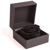 ROSEMARIE SCHULZ Heidelberg Rosenbox 1 Infinity Rose schwarz konserviert
