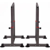 Hms fitness pw30 Pro Handlauf - Hochschiebestützen HMS -