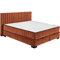 Ed lifestyle Boxbett NAGOL