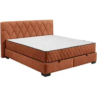 Ed lifestyle Boxbett NAGOL