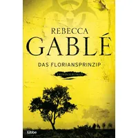 Lübbe Das Floriansprinzip