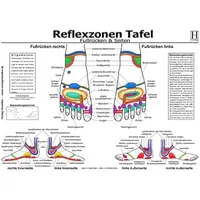 Hawelka, Uwe Reflexzonen Tafel - Fussrücken & Seiten, Poster
