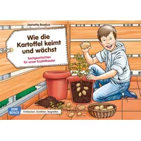 Don Bosco Wie die Kartoffel keimt und wächst. Kamishibai