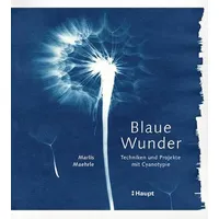 Haupt Verlag Blaue Wunder - Techniken und Projekte mit