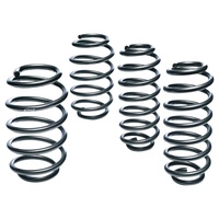 Eibach E10-65-031-03-22 Pro-Kit Tieferlegungsfedern