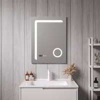 Pro.tec LED-Badspiegel Chambave 60x80 cm Silberfarben - Silber