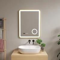 Pro.tec LED-Badspiegel Pescara 60x80 cm Goldfarben