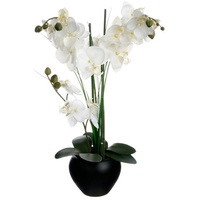 Atmosphera Créateur d'intérieur Kunstblume Orchidee | Gr.: onesize