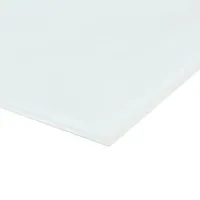 VidaXL Magnettafel Wandmontage Glas 60x60 cm