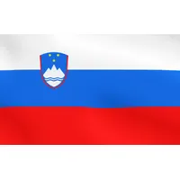 F.I.G. Flagge Slowenien (90x150cm) Fahne Flag Slovenia