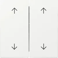 Gira Wippschalter 329703