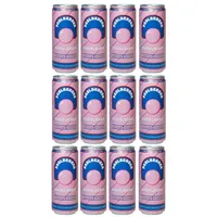 Paulberger Bubblegum 12x0.33 L Dose EINWEGPFAND