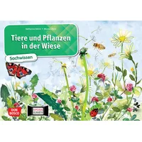 Don Bosco Medien GmbH Tiere und Pflanzen in der