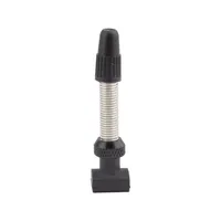 DT Swiss Tubeless-Ventil Road silber