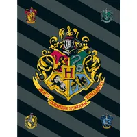 Tinisu Harry Potter Fleecedecke 100x150 cm Kuscheldecke 100 %