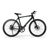 Sharp E-Bike