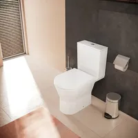 Hansgrohe EluPura Original S Stand-WC für Spülkästen, HygieneEffect, horizontaler