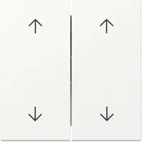Gira Wippschalter 329727