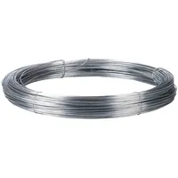 Kerbl Eisendraht 2,0mm 200 m-Ring