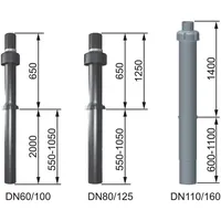 WOLF-Garten Wolf Dachdurchführung senkrecht C33x DN60/100 L:2650mm, schwarz