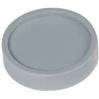 Maul Magnet (Ø x H) 30 mm x 8.4