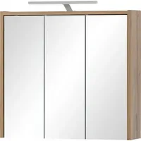 INOSIGN Dex 65 cm braun