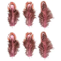 Rayher Federn pink 6 St.