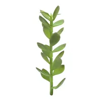 Europalms Europalms, Kunstpflanzen, Geldbäumchen-Spross (30 cm)