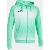 Joma Tiger V Reißverschlusspullover - Green / White -