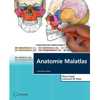 Pearson Studium Anatomie Malatlas