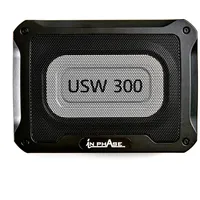 In Phase USW300 300 W Untersitz Subwoofer Auto Set