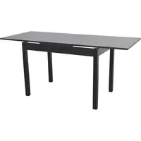 Moebel-direkt-online Ausziehtisch 67 x 75 x 164 cm schwarz