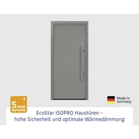 Hörmann EcoStar ISOPRO IP 010 links 110 x 210