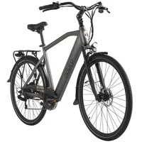 ADORE E-Bike 53 cm)