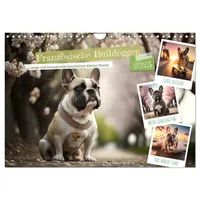 Calvendo Französische Bulldoggen (Wandkalender 2025 DIN A4 quer), CALVENDO