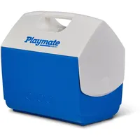 Igloo Kühlbox (15 l)