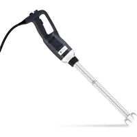 Royal Catering Stabmixer Pürierstab Handmixer 500 Watt Edelstahl Mixstab