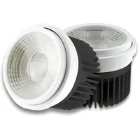 ISOLED AR111 Fresh Meat Light 30W, 35°-50° variabel, inkl.