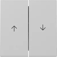 Gira Wippschalter 2fach mit Pfeilsymbol grau matt