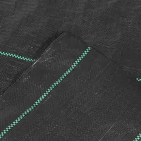 Siena Garden Unterbodengewebe 2 x 25 m 100g, schwarz,