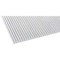 Gutta Doppelstegplatte 980 x 200 cm klar