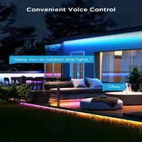 Govee - LED Phantasy Outdoor Strip Light 10 Meter