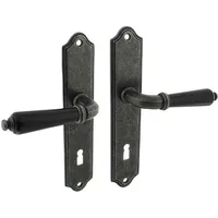 MS Beschläge Schildgarnitur Antik Grau schwarzes Griffstück Buntbart