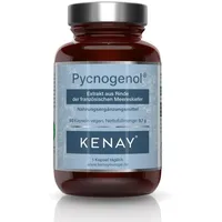 Kenay Pycnogenol ® Extrakt aus Rinde der französischen Meereskiefer