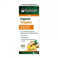 Hübner Ingwer Tropfen 20 ml