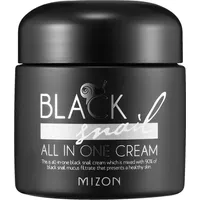 Mizon Black Snail All in One Hautcreme mit Filtrat