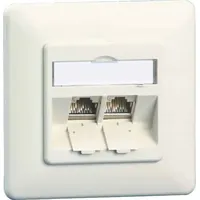 BTR Netcom BTR 130B11D21002-E C6Amodul UP reinweiss 130B11D21002E -