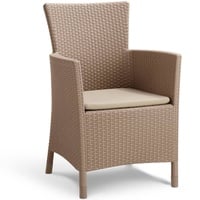 ALLIBERT Iowa Gartenstuhl 60 x 62 x 89 cm